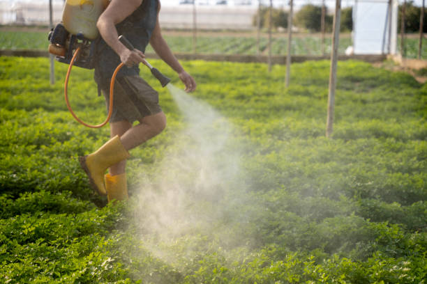 Pest Control Cost in Hemlock Farms, PA