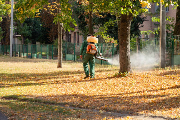 Reliable Hemlock Farms, PA Pest Control Solutions