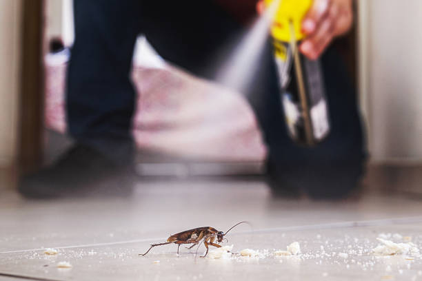 Best Local Pest Control Services  in Hemlock Farms, PA