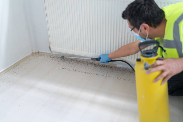 Best Cockroach Control Services  in Hemlock Farms, PA
