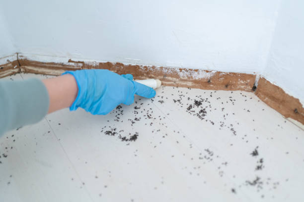 Best Pest Removal Services  in Hemlock Farms, PA